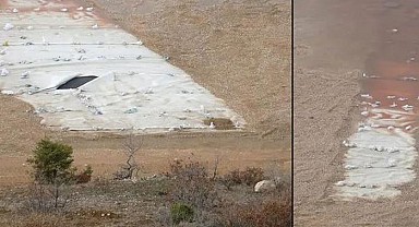 'Erzincan'da kuşlar siyanürden öldü' iddiasında gerçek ortaya çıktı!
