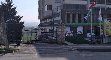 Hayvana şiddet bitmiyor. Şimdi de Bursa'da!