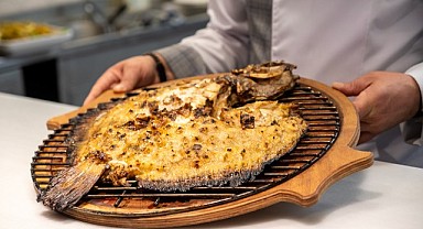 Kalkan balığı zamanı bu yıl erken başladı