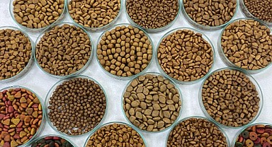 Kedi köpek maması ihracatı 10 yıl içerisinde 27 katına çıktı