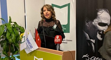 Siyanür Krizi ve Çevre Felaketi