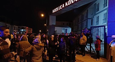 Bursa'da kan donduran kedi katliamı!