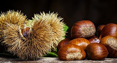 Bursa'nın coğrafi işaret tescilli değeri 33'e çıktı... Bursa Kestanesi de tescile kavuştu