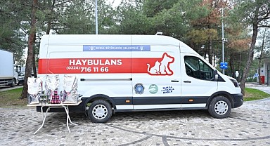 Can dostlara modern yeni yuva