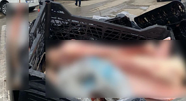 Düzce'de eti sıyrılmış at kemikleri bulundu