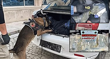Edirne'de 11 kilo uyuşturucu ele geçirildi