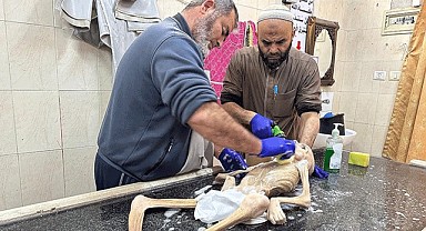 Gazze'de Filistinli çocuk bir deri bir kemik halde öldü