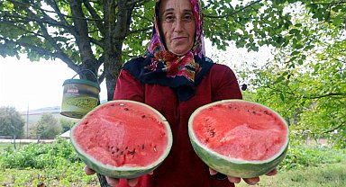Kocaeli'de üreticilere karpuz tohumu desteği