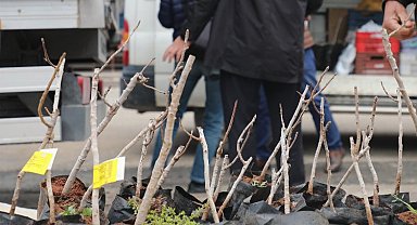 Konya'da kırsala 'Antep Fıstığı' desteği