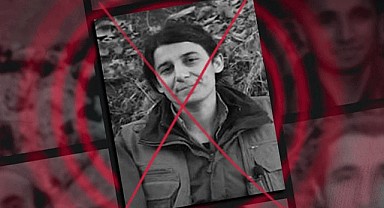 MİT PKK'nın sözde gençlik sorumlusunu etkisiz hale getirdi!