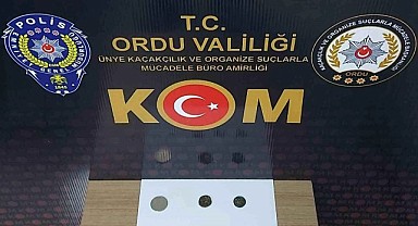 Ordu'da tarihi eser operasyonu !