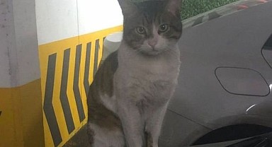 Son dakika ! Erosun katilinin cezası belli oldu !