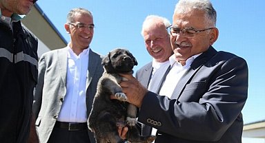 Başkan Büyükkılıç, dilsiz dostlara sahip çıkıyor