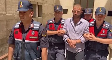 Bursa'da orman yakan şahısa 8 yıl 4 ay hapis cezası verildi