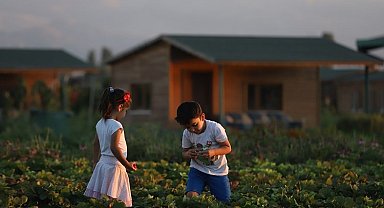 Büyükşehir'de 2 bin 543 adet "hobi bahçesi" başvuruları başladı