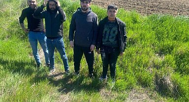 Edirne'de 4 göçmen yakalandı