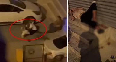 Evden kaçan pitbull dehşet saçtı!