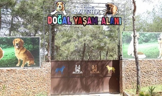 Gaziantep can dostlara sahip çıkıyor