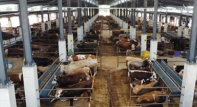 İnegöl Hayvan Pazarı 27 Mayıs'ta kapılarını açıyor