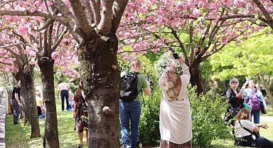 İstanbul'da 'Japon Bahçesi'ne yoğun ilgi