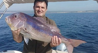 Saros'da yakalanan balık şaşkınlık yarattı