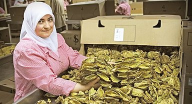 Tütün sektöründe hedef milyar dolar!