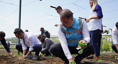 Beylikdüzü'nde yazlık fideler toprakla buluştu