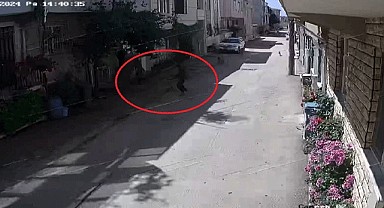 Bursa'da 3 çocuğa sokak köpekleri saldırdı!