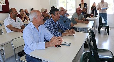 Büyükşehir'den Manisalı arıcılara ana arı desteği