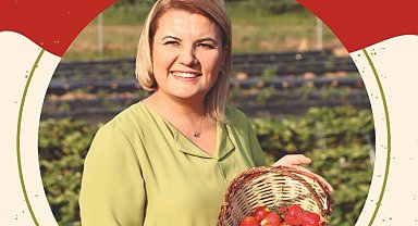 Çilek Köy'de çilek hasatları başlıyor