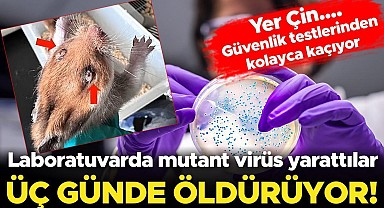 Çinli bilim insanları mutant ebola virüsü yarattı
