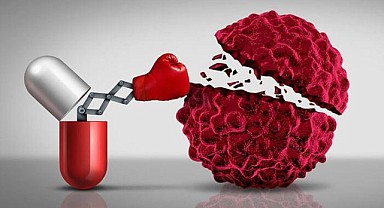 Çocuklarda Löseminin 6 Belirtisine Dikkat!