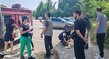 İzmit'teki saldırgan köpeklere ortak müdahale