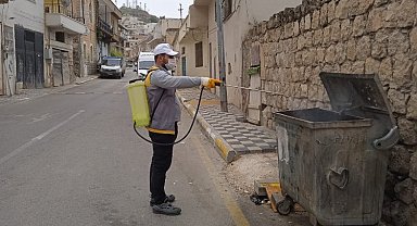 Mardin'de ilaçlama çalışmaları sürüyor