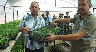 Muğla Milas'ta üreticilere fide desteği