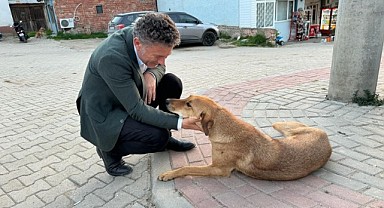 Orhan Sarıbal: Yaşamdan, yaşatmadan yana duracağım