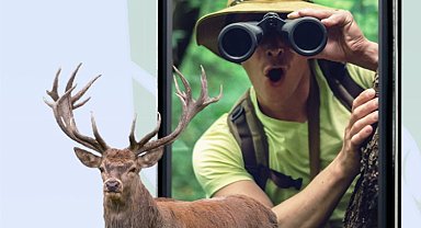 Ormanya'nın doğal güzellikleri cebinizde