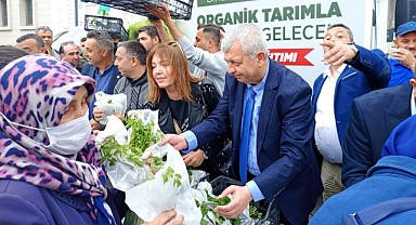 Osmangazi Belediyesinden fide dağıtımı!