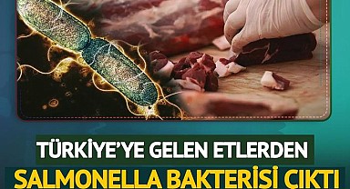 Türkiye'ye gelen 20 ton etten bakteri çıktı!