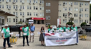 Bu kördüğümü kim çözecek?
