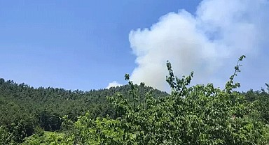 Bursa’da orman yangını!