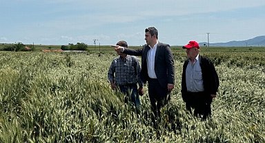 Çakır'dan hububat alım fiyatları eleştirisi