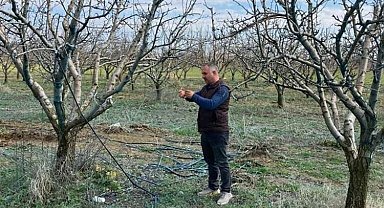 Devlet destekli tarım sigortalarında büyük artış