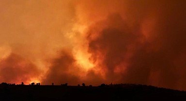 Diyarbakır ve Mardin'de çıkan yangında 5 kişi hayatını kaybetti