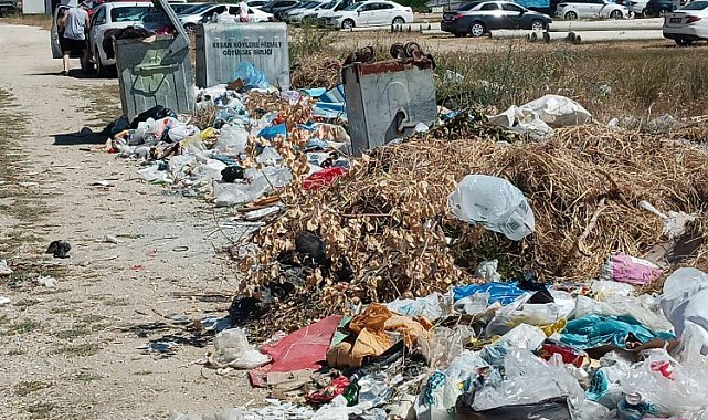 Edirne Keşan sahillerinde sezon açıldı... Ancak!