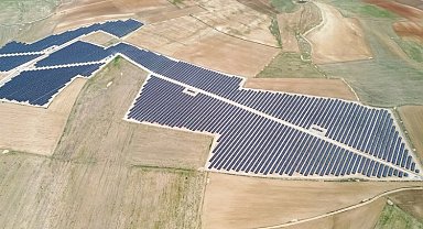 GES yatırımları yılda 900 binin üzerinde ağacı kazandıracak