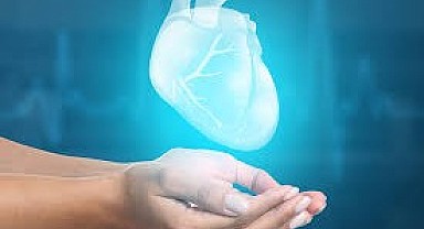 İleri teknoloji ile organ nakli!