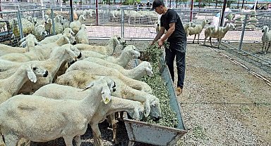 "Kayseri'de bir numara Talas Belediyesi"