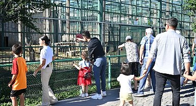 Kayseri'de Hayvanat Bahçesi'ne ziyaretçi akını