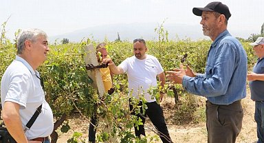 Manisa Meclisi'nden hasar gören üreticilere destek